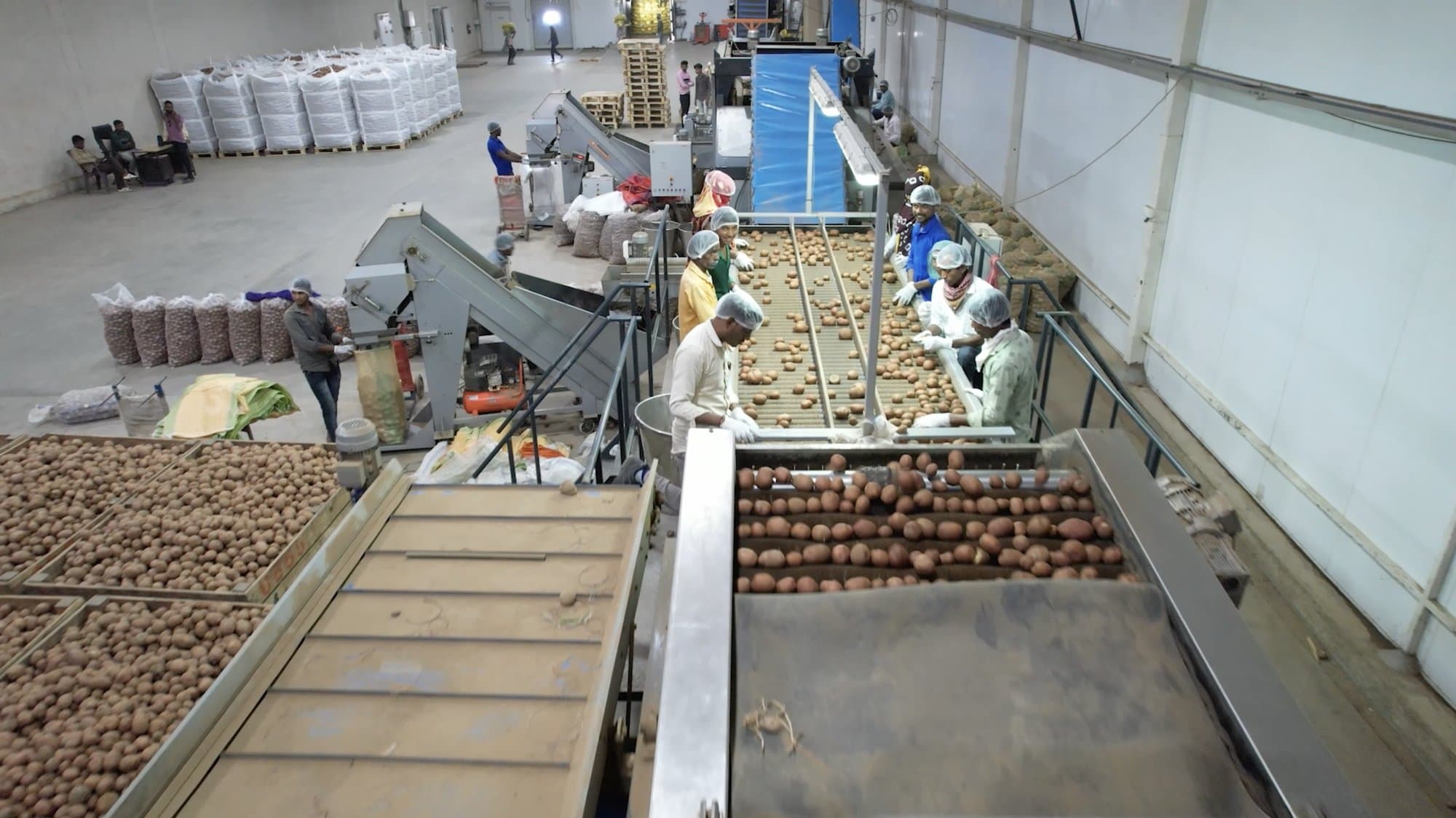 An operator working the grading line