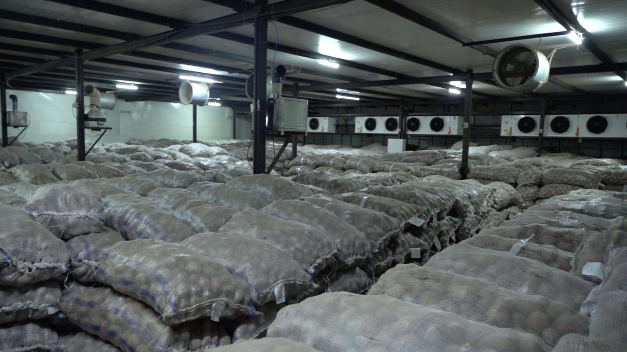 Cold Storage in operation, on site
