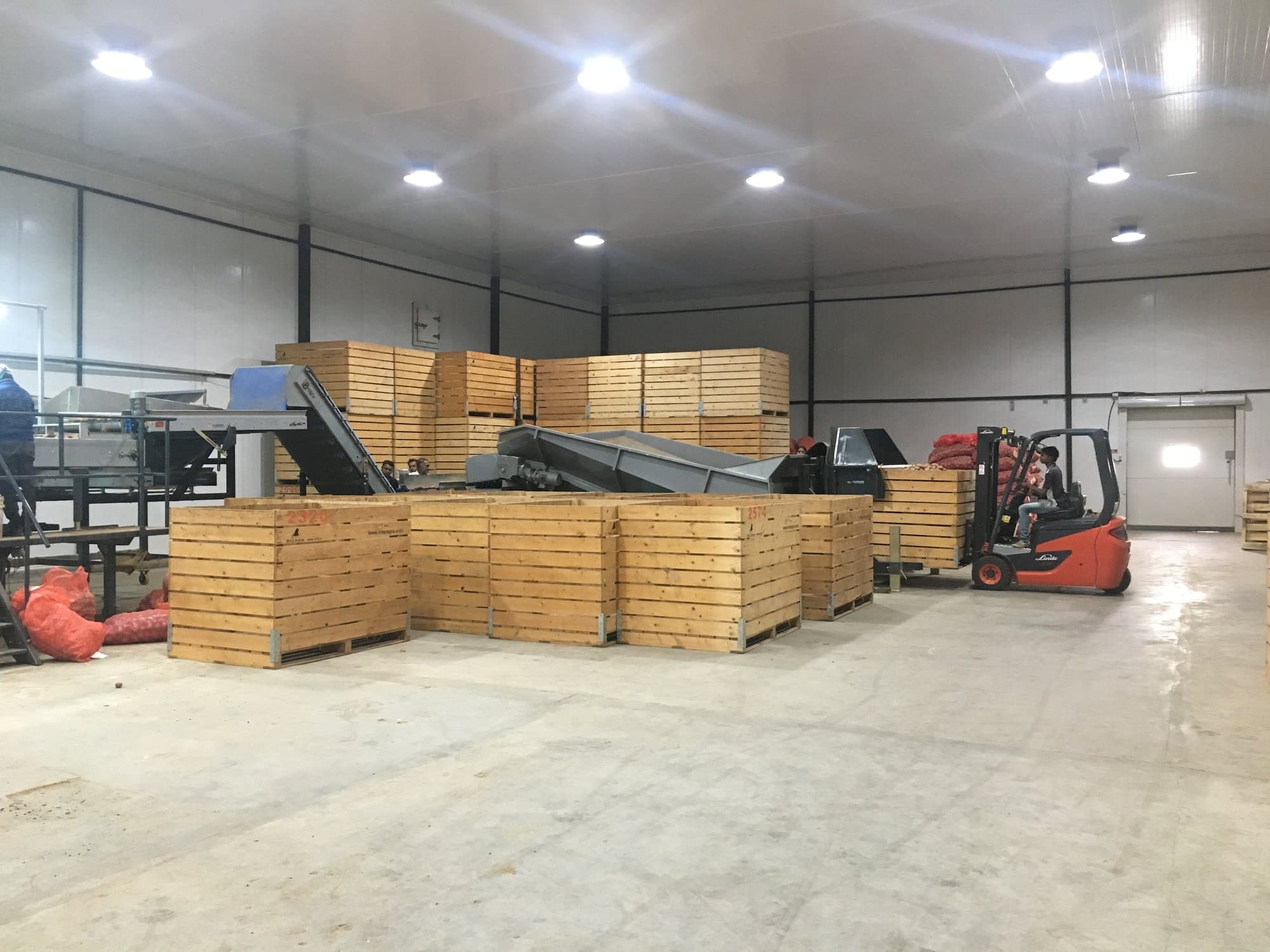 The pack house floor in full operation